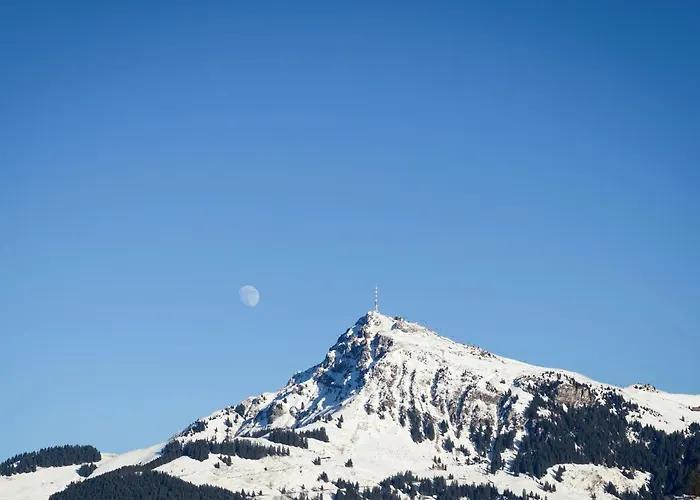 Ski-in, Ski-out By Managers Appartement