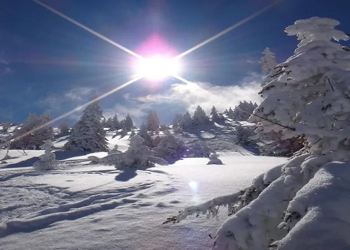 Ski-in, Ski-out By Managers Appartement