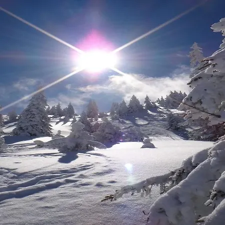 Ski-in, Ski-out By Managers Apartman